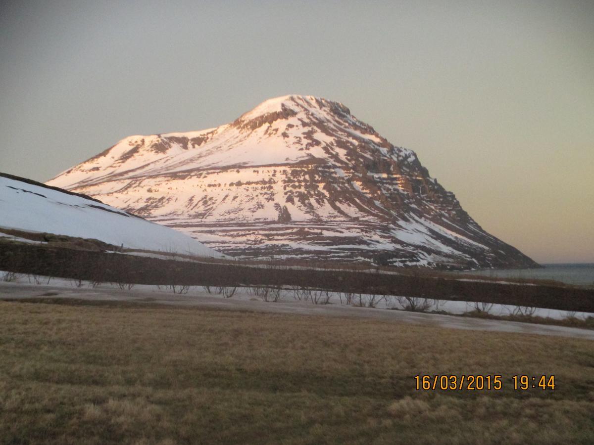 Smyrill Cottages Þórshöfn Εξωτερικό φωτογραφία